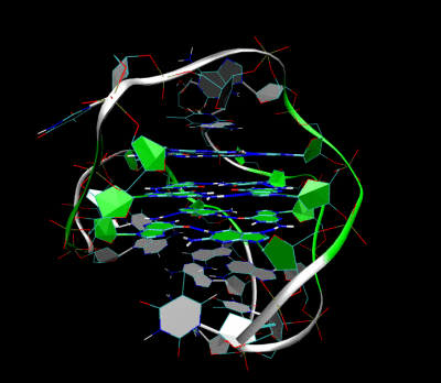Przestrzenna kwadrupleksowa struktura telomeru  źródło: wiki; Iridios (CC BY-SA  3.0)